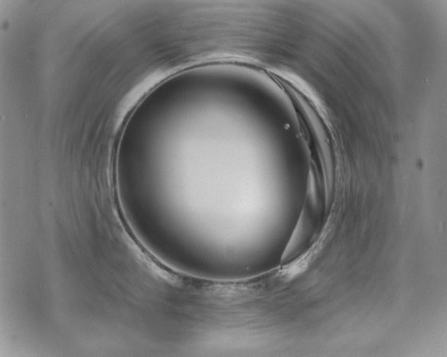 X0000071910910200607071129