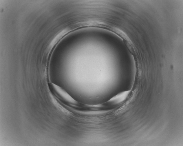 X0000071910946200607071128