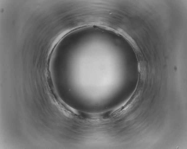 X0000071910956200607071129
