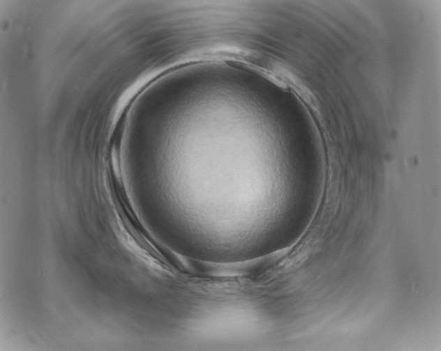 X0000071910960200607071129