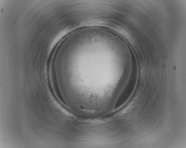 X0000071910990200607071127