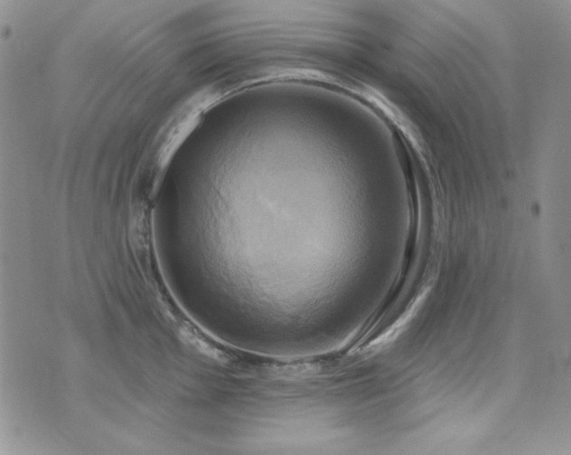 X0000071911001200607071127