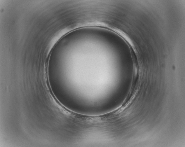 X0000071911006200607071127