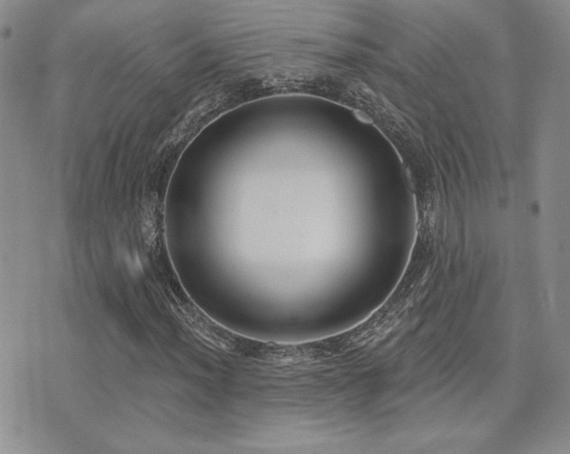 X0000071911012200607071126