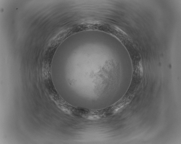 X0000071911014200607071126
