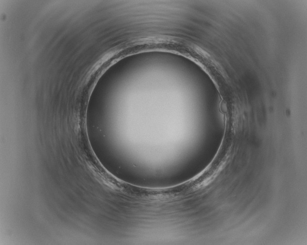 X0000071911017200607071126
