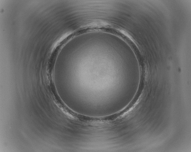 X0000071911018200607071126