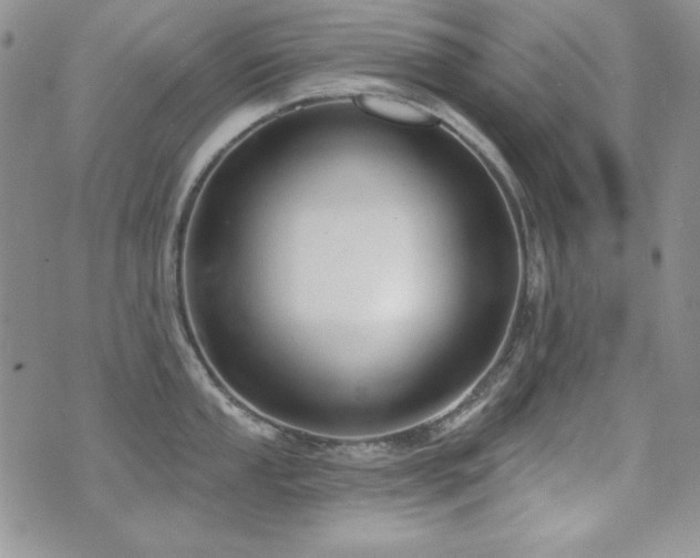 X0000071911053200607071127