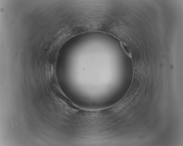X0000071911058200607071126