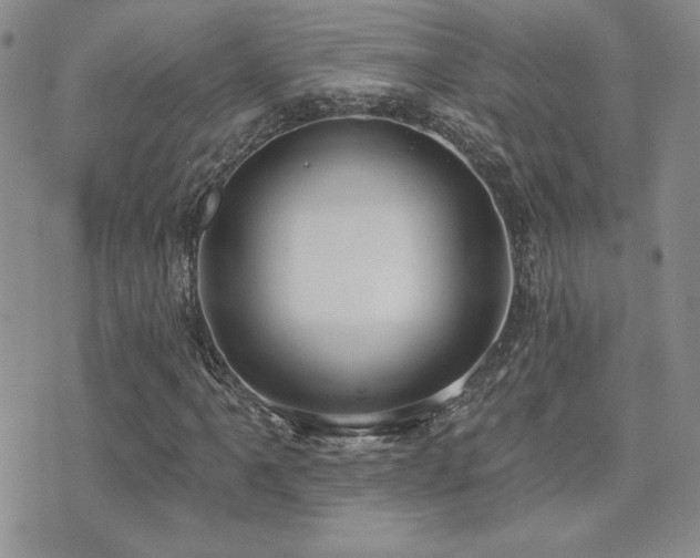 X0000071911061200607071126