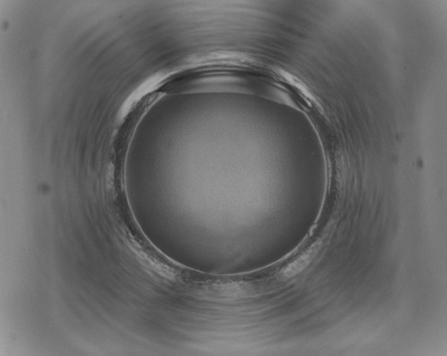 X0000071911066200607071126