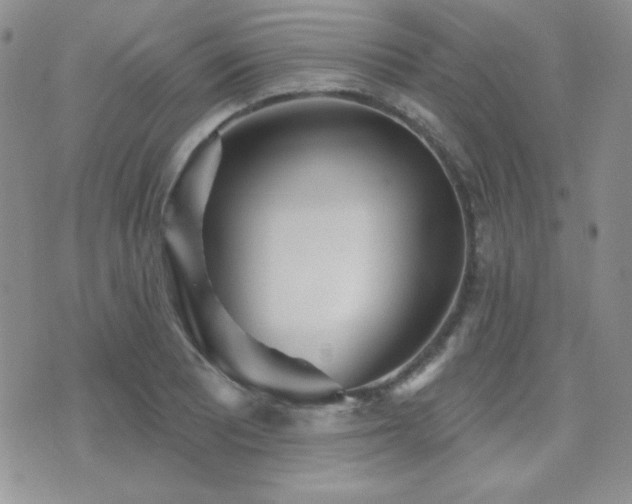 X0000071911081200607071126