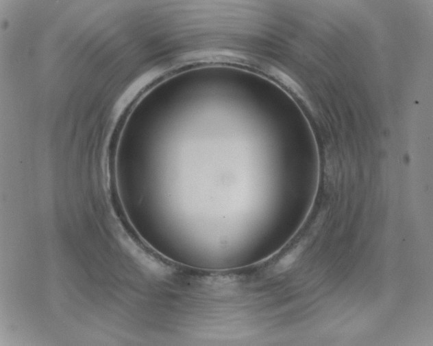 X0000071911082200607071126