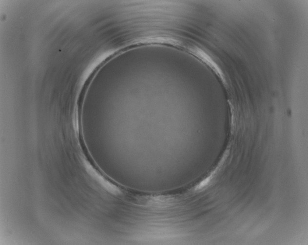 X0000071911084200607071126