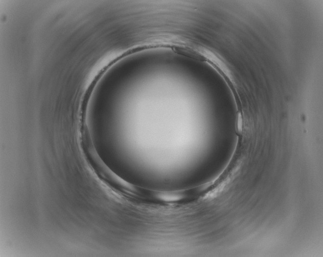 X0000071911093200607071126