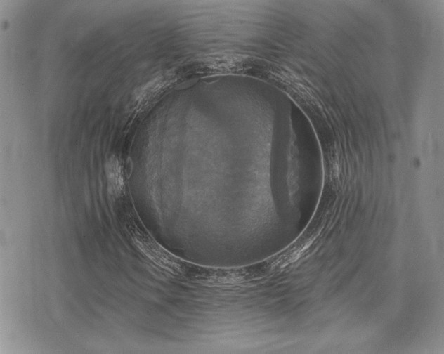 X0000071911106200607071125