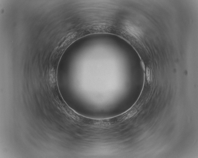 X0000071911107200607071125