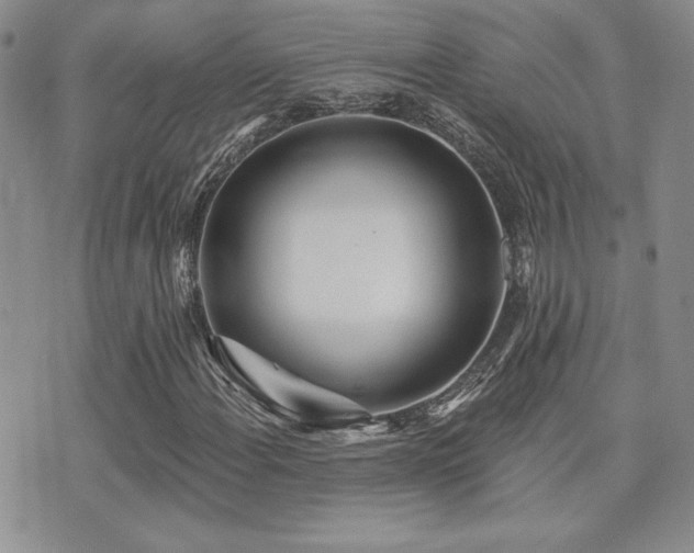 X0000071911108200607071125