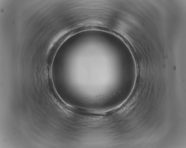 X0000071911115200607071125