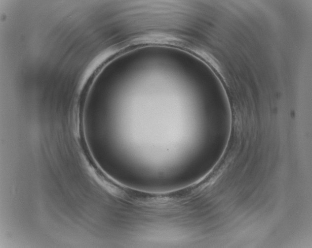 X0000071911131200607071125