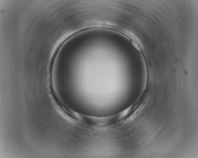 X0000071911136200607071125