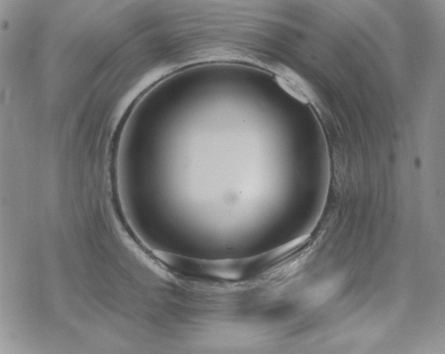 X0000071911142200607071125