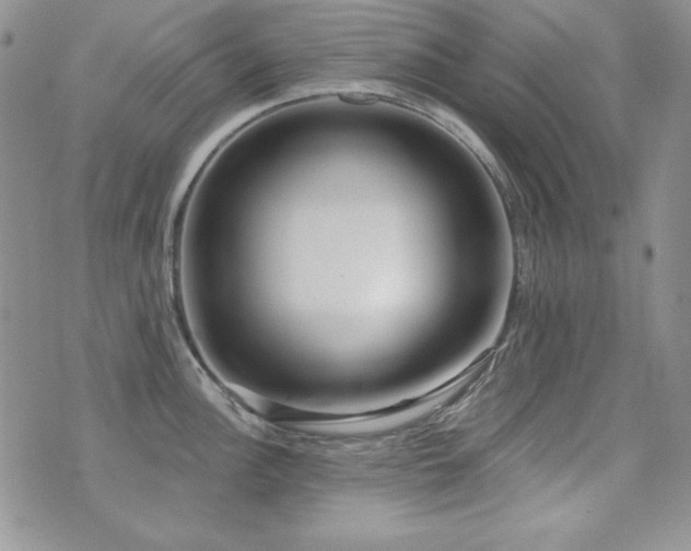 X0000071911148200607071125