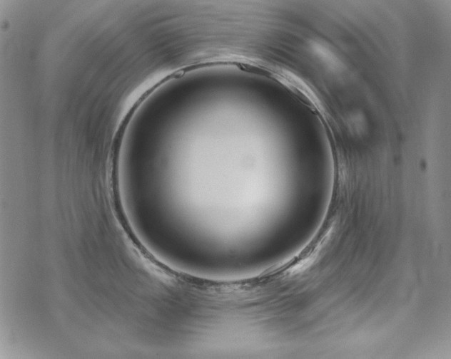 X0000071911149200607071125