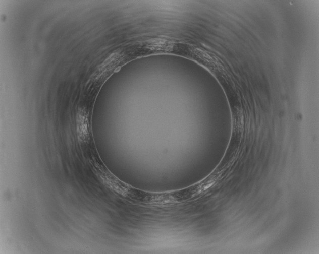 X0000071911154200607071125