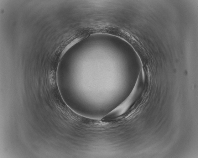 X0000071911156200607071125