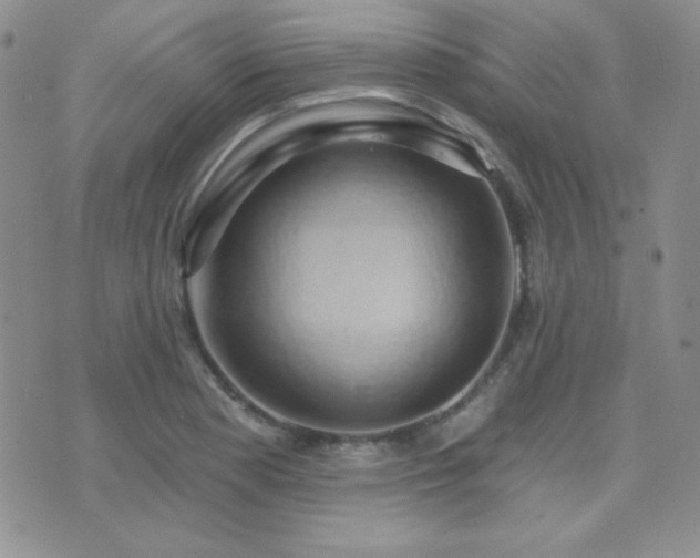 X0000071911177200607071124