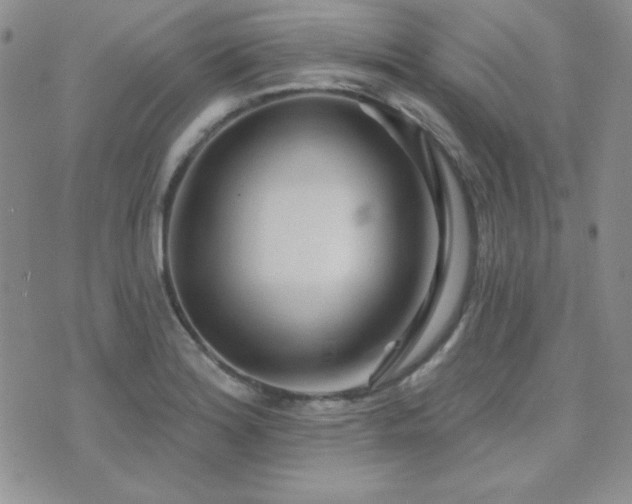 X0000071911180200607071124