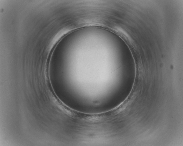 X0000071911182200607071124