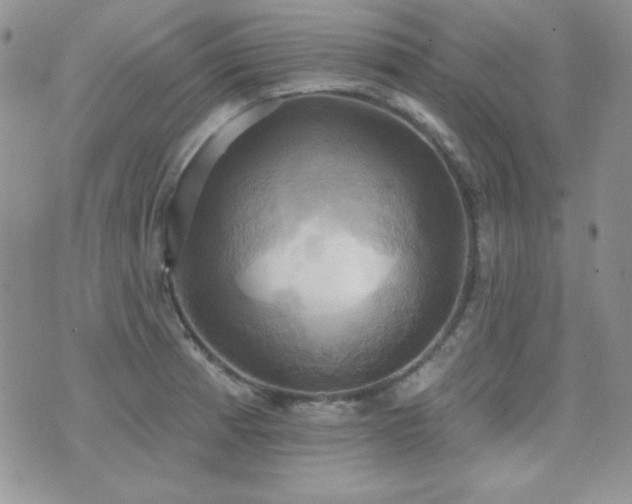 X0000071911185200607071124