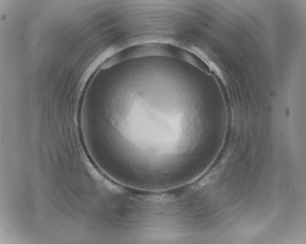 X0000071911189200607071124