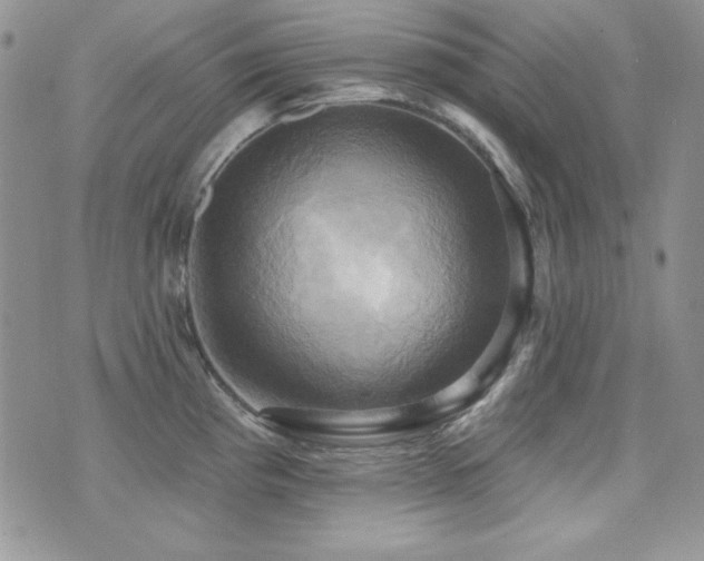 X0000071911193200607071124