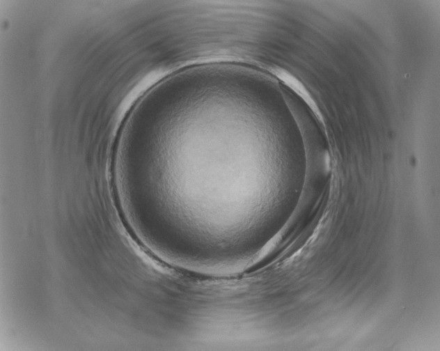 X0000071911197200607071124