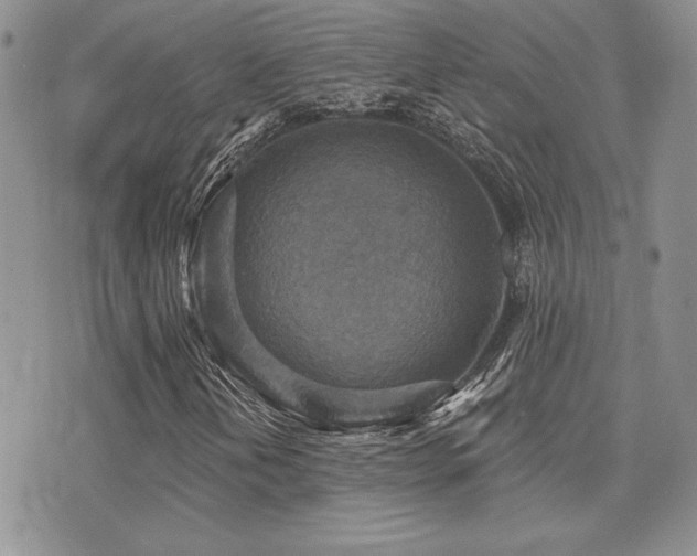 X0000071911202200607071123