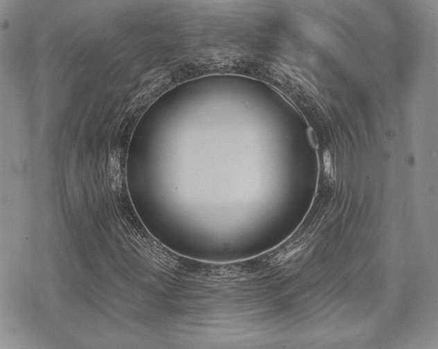 X0000071911203200607071123