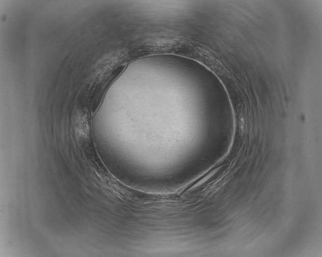 X0000071911204200607071123