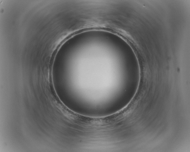 X0000071911220200607071123