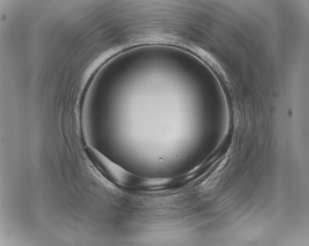 X0000071911238200607071124