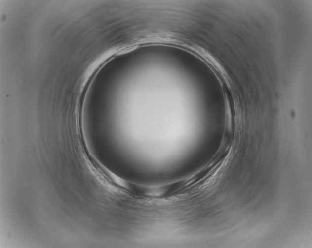X0000071911246200607071124
