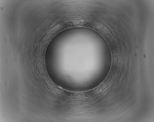 X0000071911249200607071123