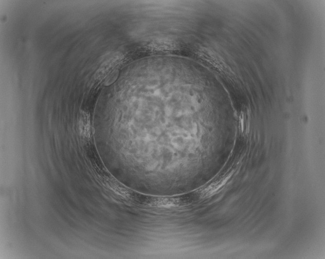 X0000071911251200607071123