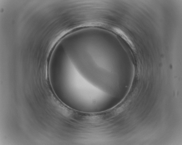 X0000071911276200607071123