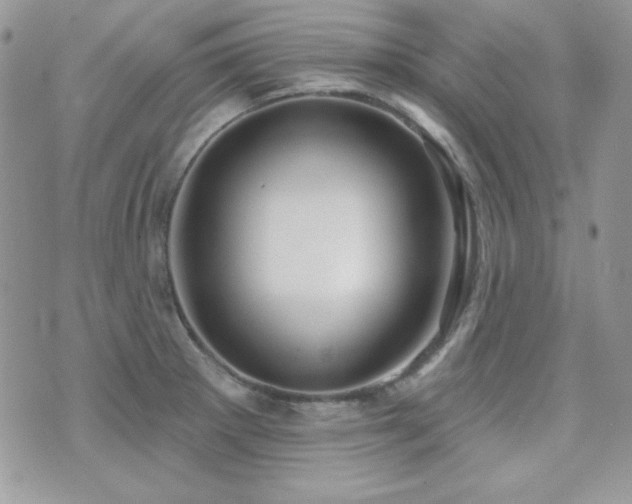 X0000071911281200607071123