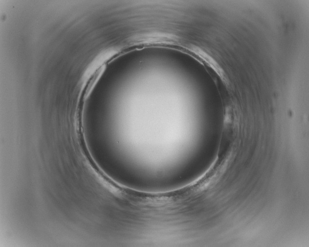 X0000071911285200607071123