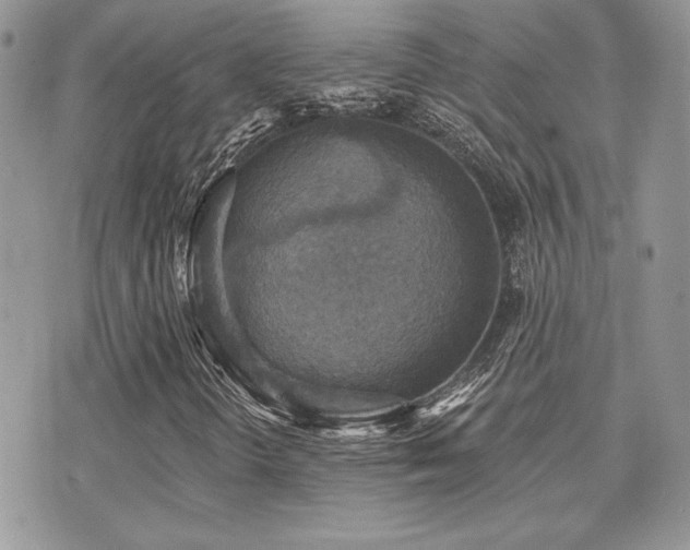 X0000071911298200607071122