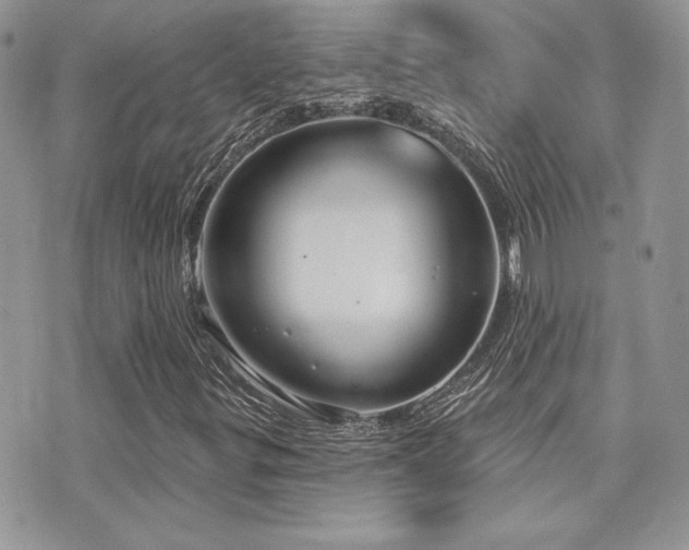 X0000071911299200607071122